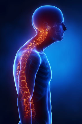 Postural Dysfunction